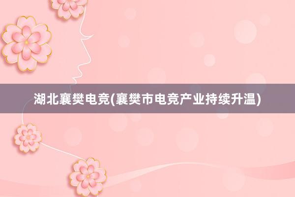 湖北襄樊电竞(襄樊市电竞产业持续升温)